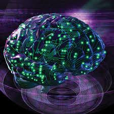 brain